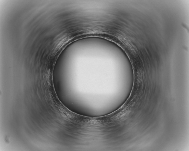 X0000096991265200802221449