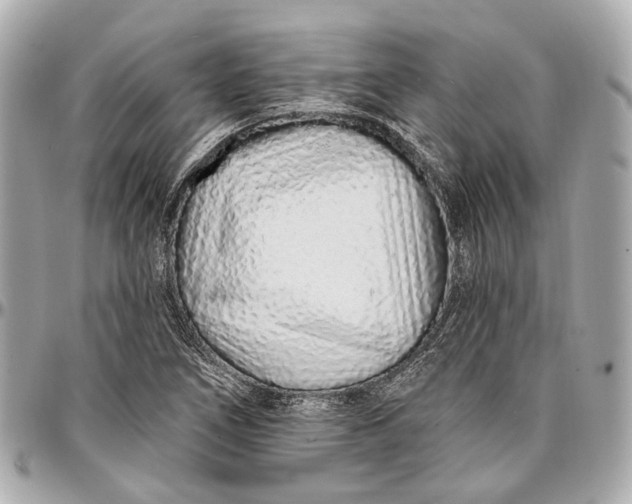 X0000096991266200802221449
