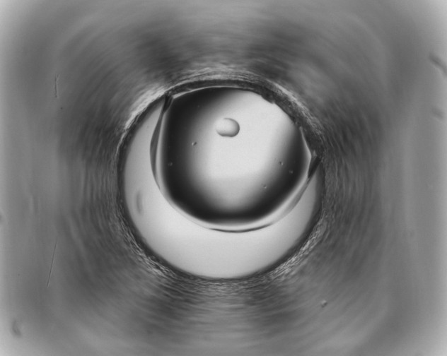 X0000096991267200802221449