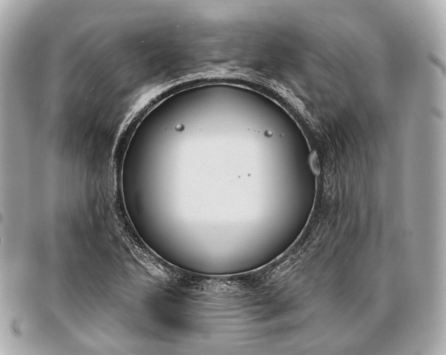 X0000096991270200802221449