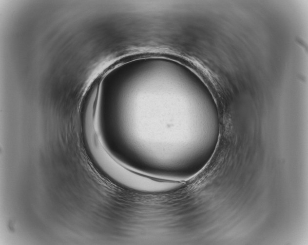 X0000096991271200802221449