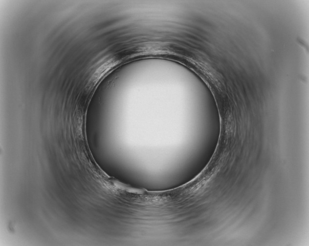 X0000096991273200802221449
