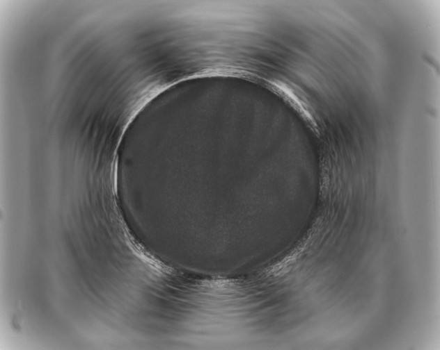 X0000096991276200802221449