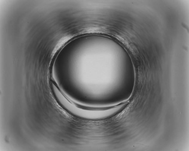 X0000096991277200802221449