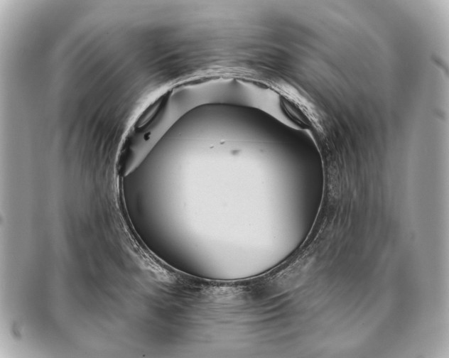 X0000096991280200802221449