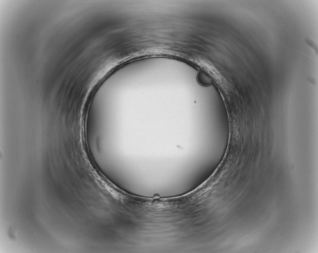 X0000096991286200802221449