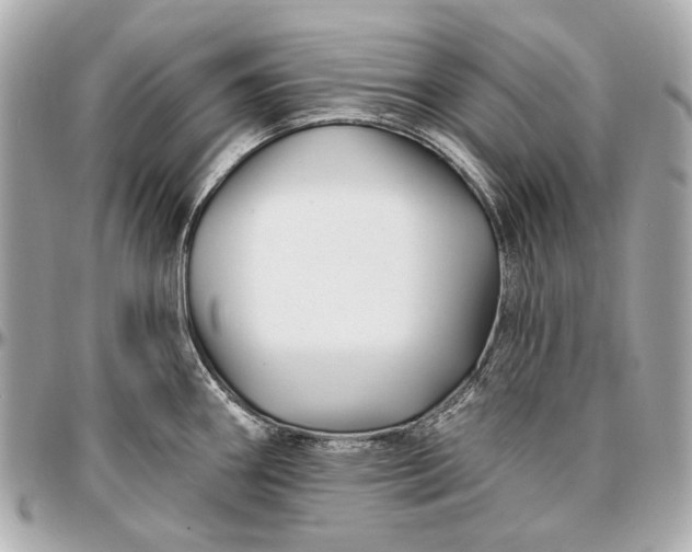 X0000096991290200802221449