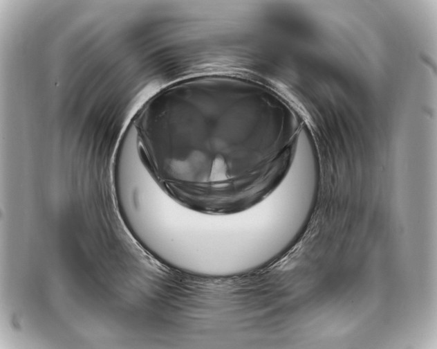 X0000096991291200802221449