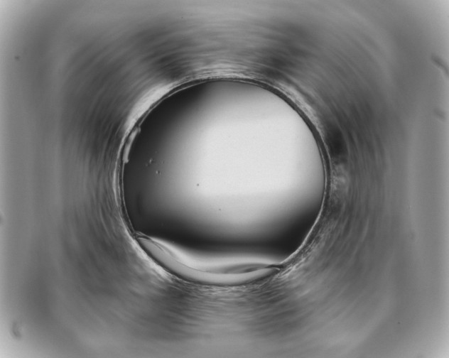 X0000096991293200802221449
