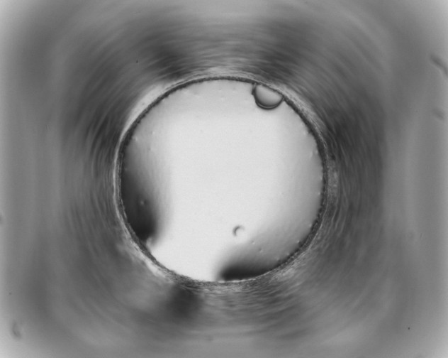 X0000096991294200802221449