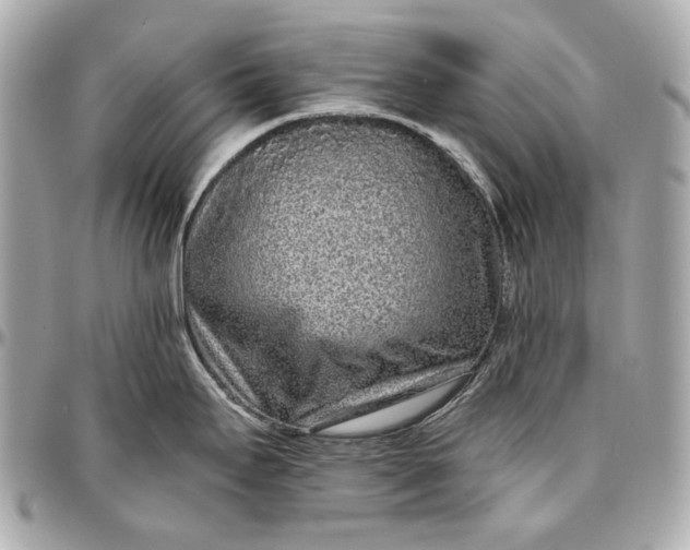 X0000096991295200802221448