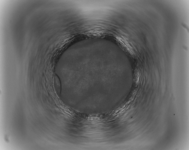 X0000096991297200802221448