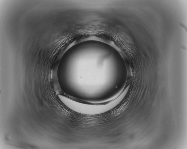 X0000096991300200802221448