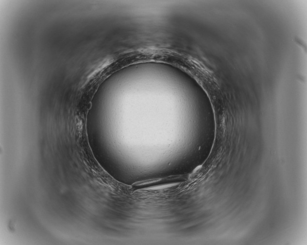 X0000096991302200802221448
