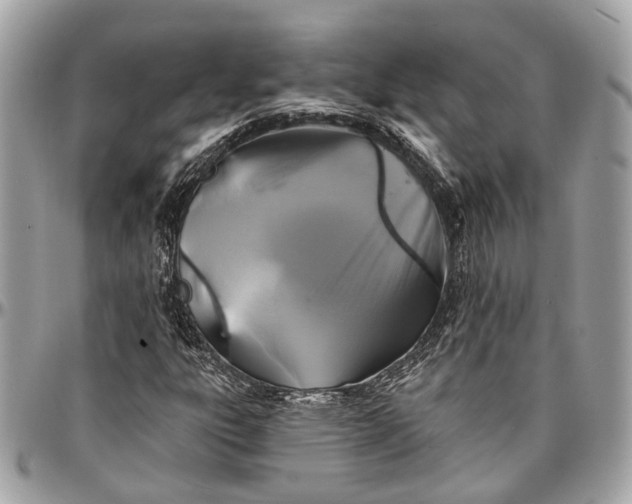 X0000096991303200802221448