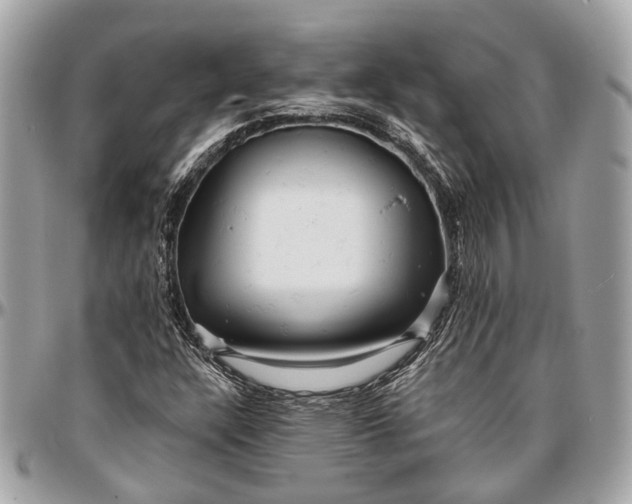 X0000096991304200802221448