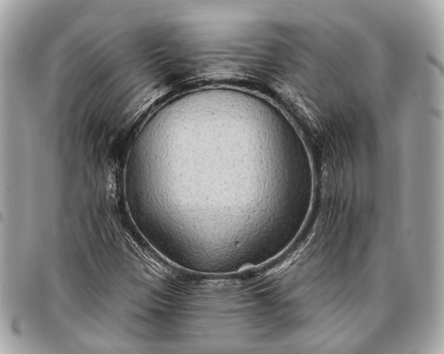 X0000096991305200802221448