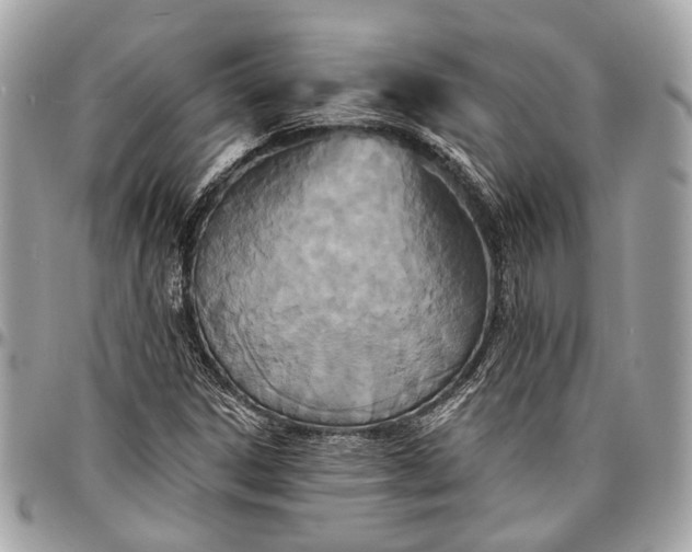X0000096991306200802221448