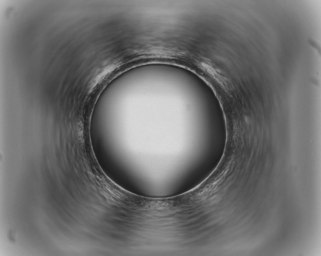 X0000096991307200802221448