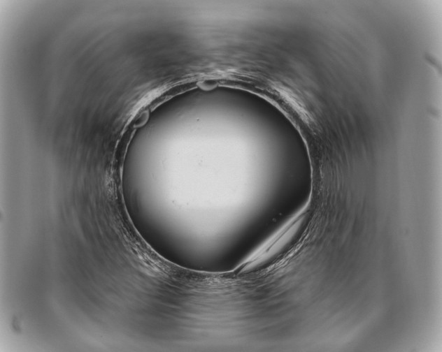 X0000096991308200802221448