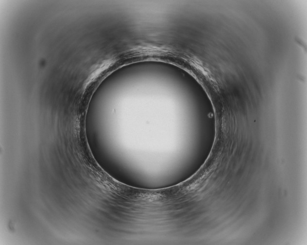 X0000096991309200802221448