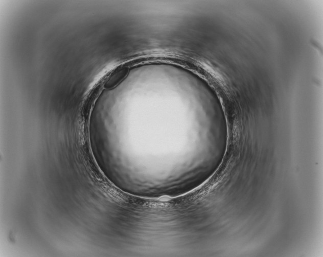 X0000096991310200802221448