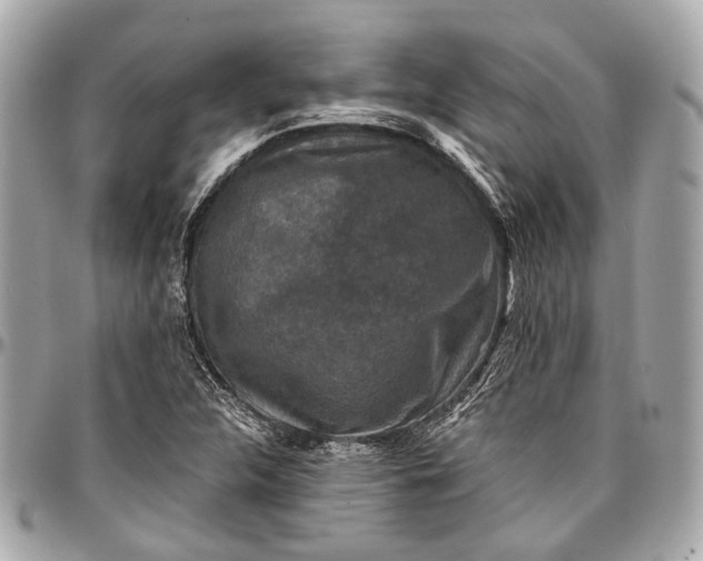 X0000096991312200802221448