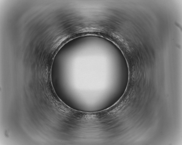 X0000096991313200802221448