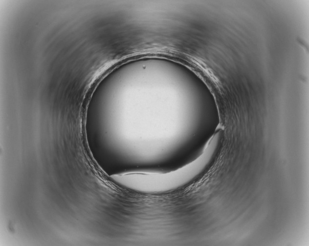 X0000096991316200802221448
