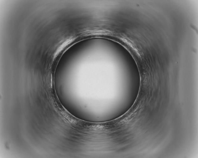 X0000096991317200802221448