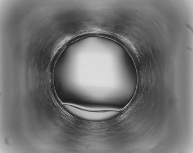 X0000096991318200802221448