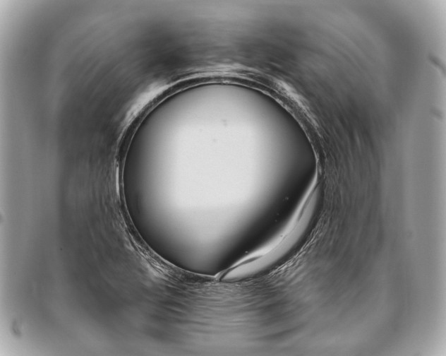 X0000096991320200802221448