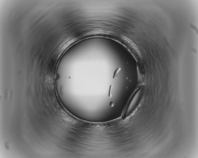 X0000096991321200802221448