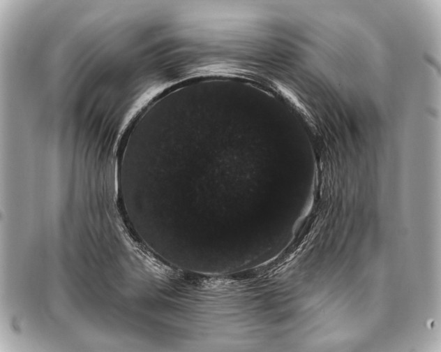 X0000096991323200802221448