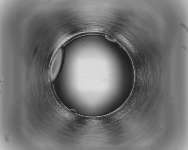 X0000096991324200802221448