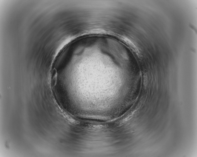 X0000096991326200802221448