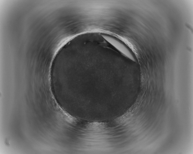 X0000096991327200802221448