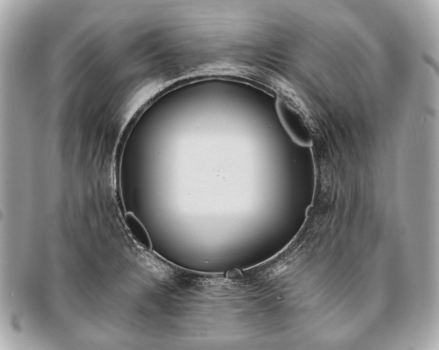 X0000096991328200802221448