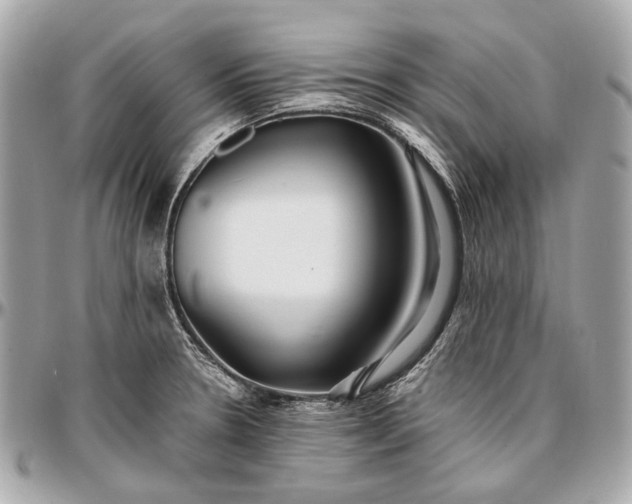 X0000096991330200802221448