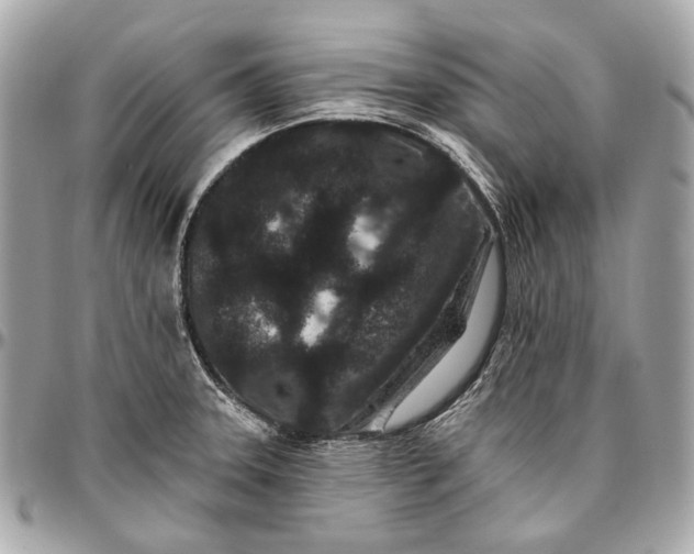 X0000096991331200802221448