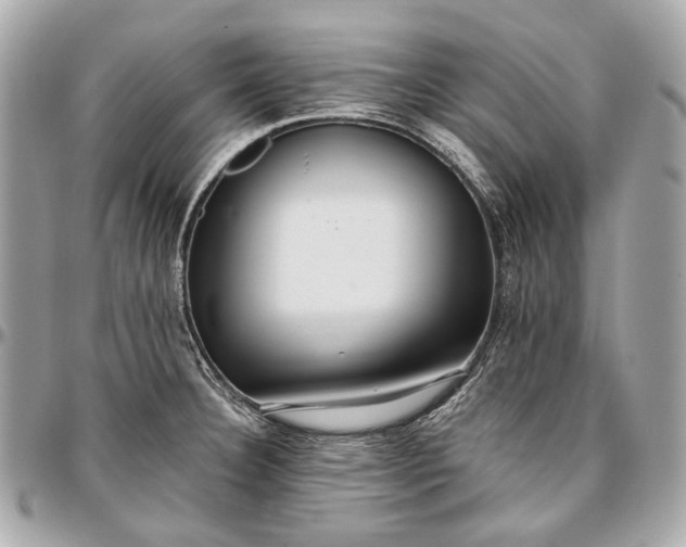 X0000096991332200802221448