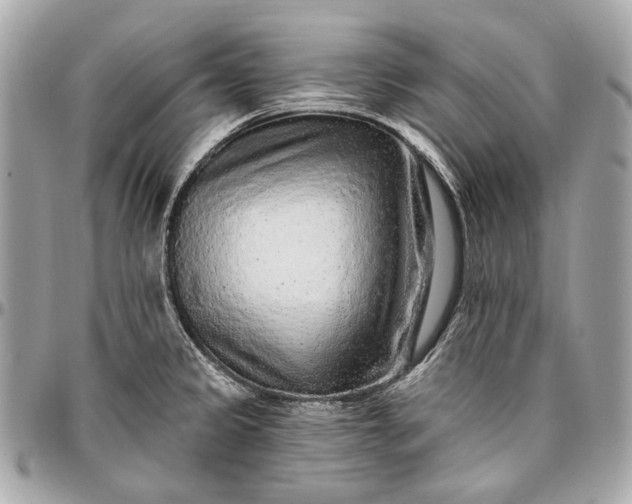 X0000096991333200802221448