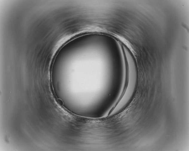 X0000096991335200802221448