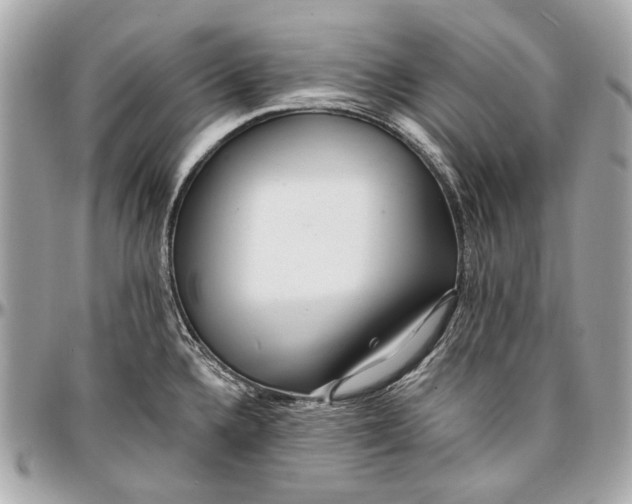 X0000096991336200802221448
