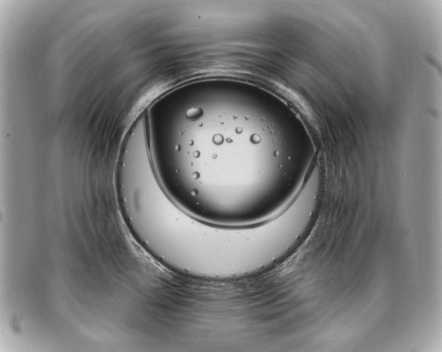 X0000096991338200802221448