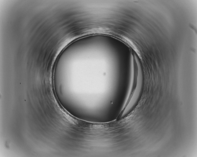 X0000096991339200802221448