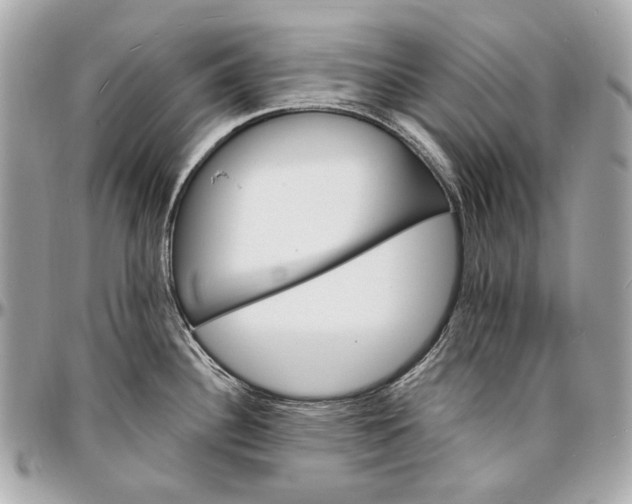 X0000096991340200802221448