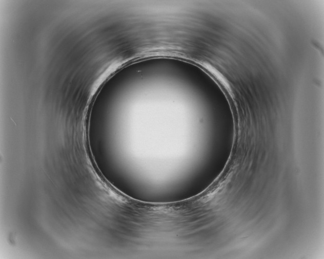 X0000096991341200802221448