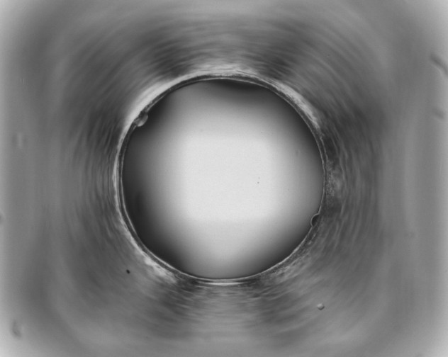 X0000096991343200802221448