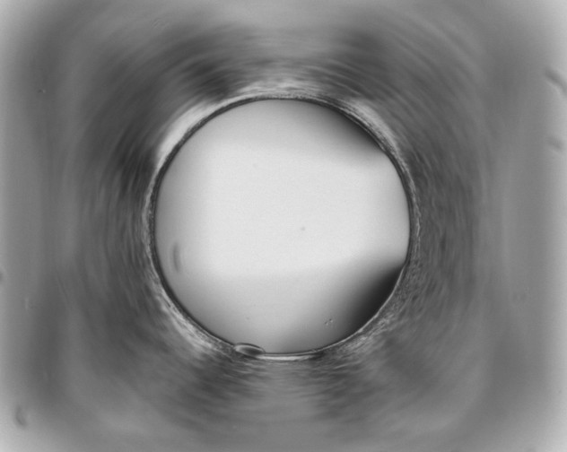X0000096991344200802221448